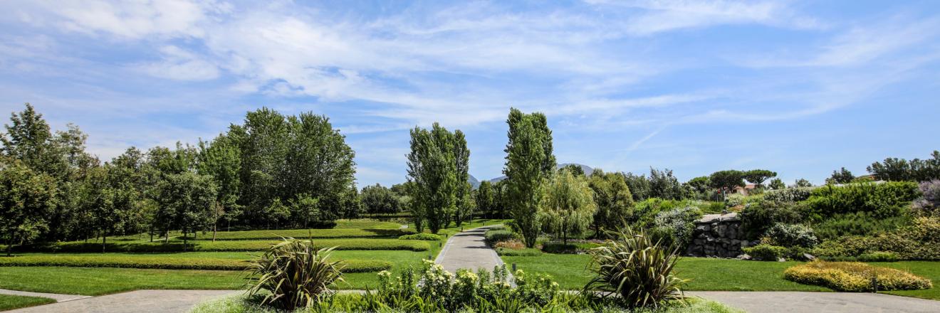 Il San Cristoforo Discover Ercolano